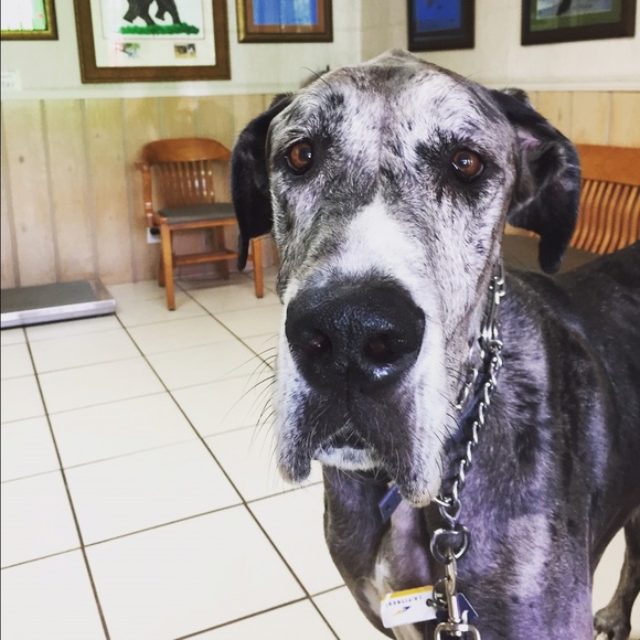 Meet your Posher, Emily - Picture 3 of 3