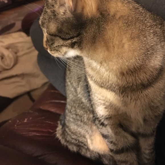 Meet your Posher, Kaitlin