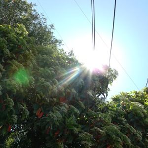 Meet your Posher, Gabriel