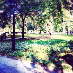 Meet your Posher, Suzie