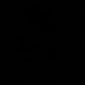 Meet your Posher, Desiree