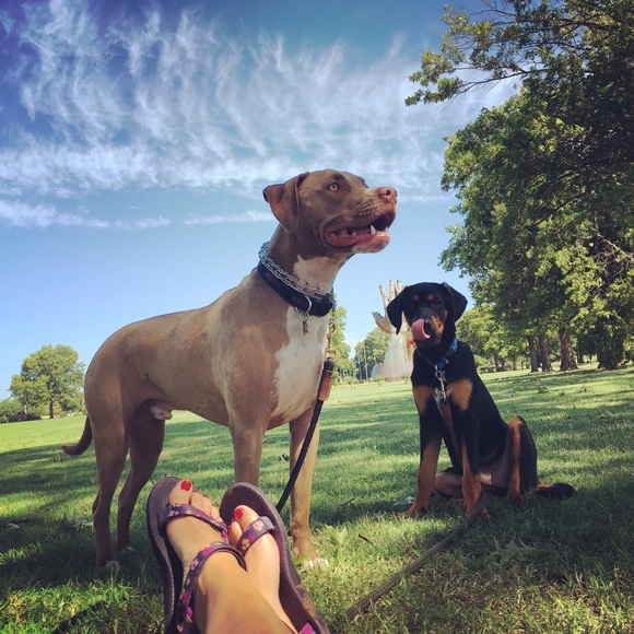 Meet your Posher, Stacey - Picture 3 of 3