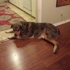 Meet your Posher, Billy