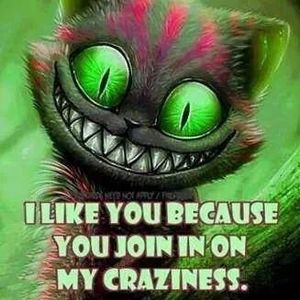 Meet your Posher, George