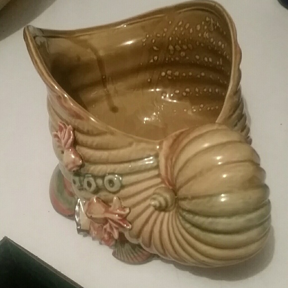 shell - Picture 2 of 4