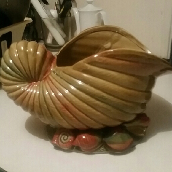 shell - Picture 3 of 4