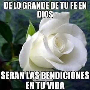 Meet your Posher, Anielka