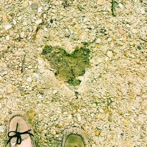 Meet your Posher, Diana