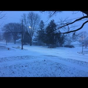 Meet your Posher, Jodi