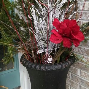 Meet your Posher, Holly