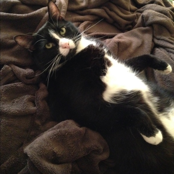 TRAX & Mr. CHIMES - Picture 2 of 4