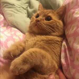 Meet your Posher, Esther