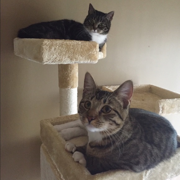 Hi! I'm Cassie❤️ - Picture 3 of 5