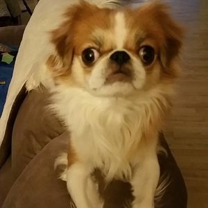 Meet your Posher, Julia