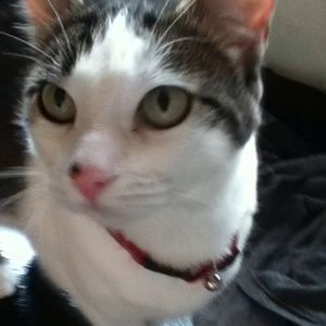 Meet your Posher, Lizbeth