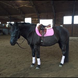 Meet your Posher, Rylee