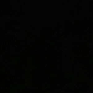 Meet your Posher, Sadie