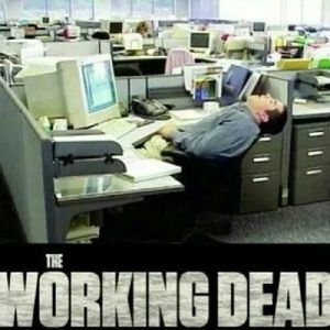 Meet your Posher, Brandy