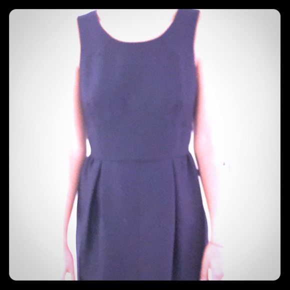 J Crew Navy sleeveless dress with empire waist