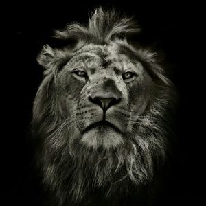 Meet your Posher, Mariela