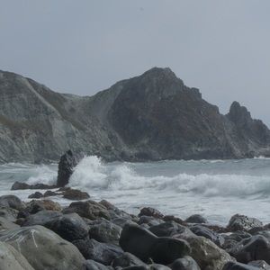 Meet your Posher, Caitlin