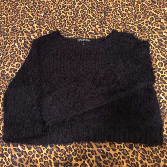 Topshop Cropped Sweater