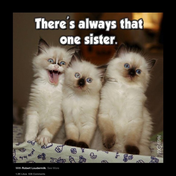 Meet your Posher, Alexis