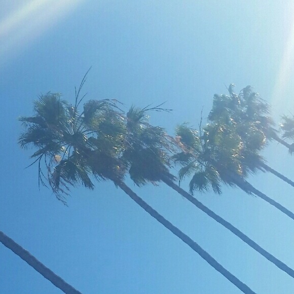 Meet your Posher, Abby - Picture 1 of 1