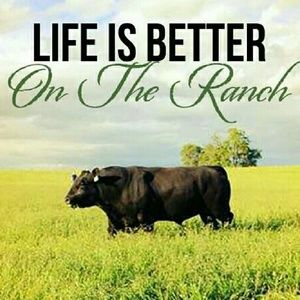 Meet your Posher, Cynthia