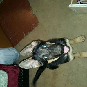 Meet your Posher, Sherry