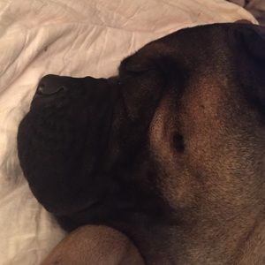 Meet your Posher, Ana