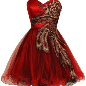 Red lace homecoming dress w feather accents
