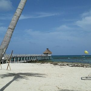 Meet your Posher, Claudette