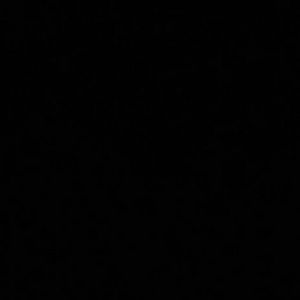 Meet your Posher, Ivy