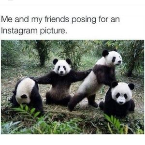 Meet your Posher, April