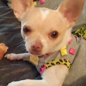 Meet your Posher, Evon