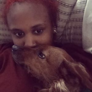 Meet your Posher, Bambii