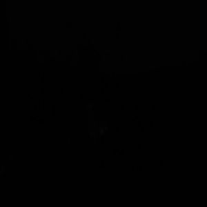 Meet your Posher, Edwin