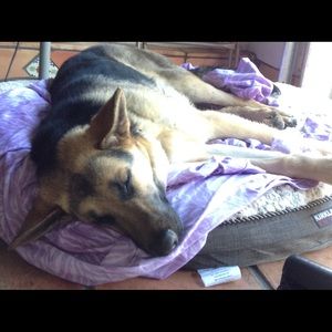 Meet your Posher, Lilly