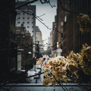 Meet your Posher, Leslie