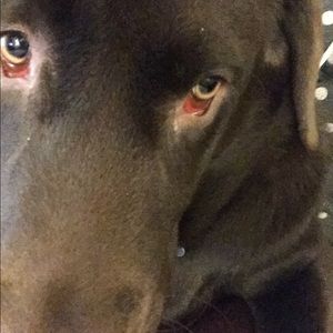 Meet your Posher, Yuki