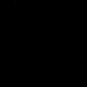 Meet your Posher, Wyatt