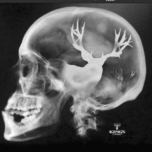 Meet your Posher, Terry