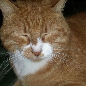 Meet your Posher, Janice