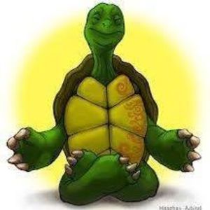 Meet your Posher, Tara