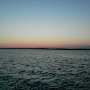 Meet your Posher, Carol