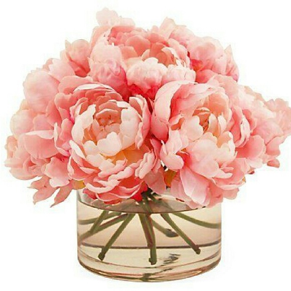 Meet your Posher, Junemarie - Picture 1 of 1