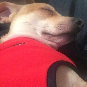 Meet your Posher, Bryan