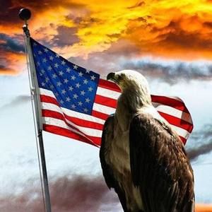 Meet your Posher, Mechelle