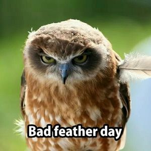 Meet your Posher, Brittney